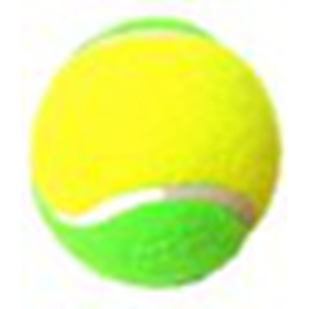 Avessa Tenis Topu Tekli 9 Yaş Çocuk
